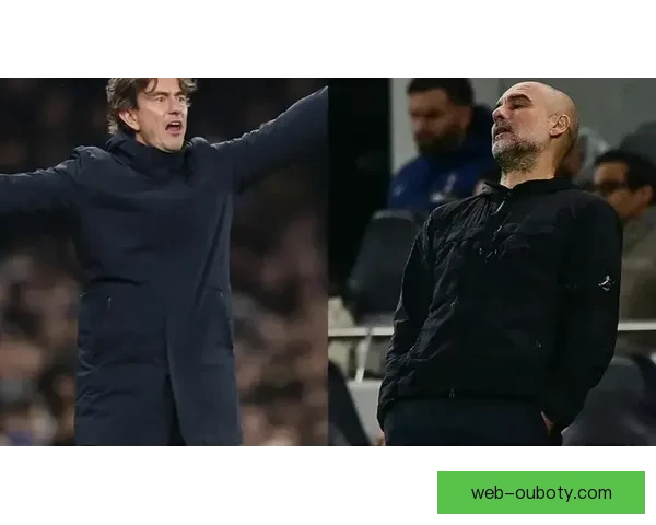 热刺球迷纠结输曼城逼弗兰克下课