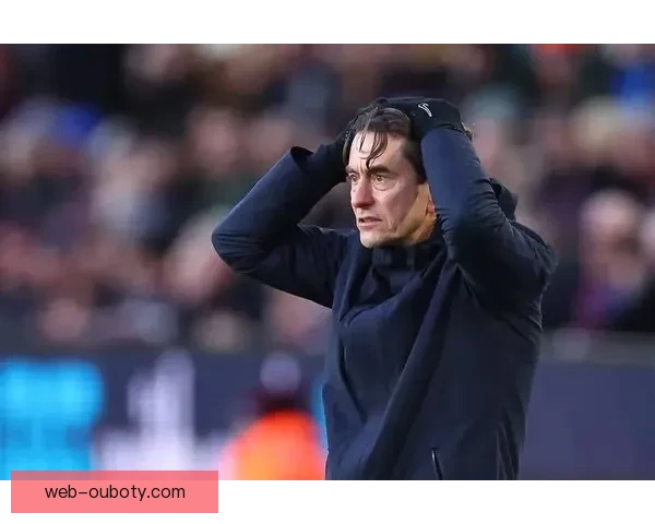 切尔西维拉冬窗问价遭拒热刺留人