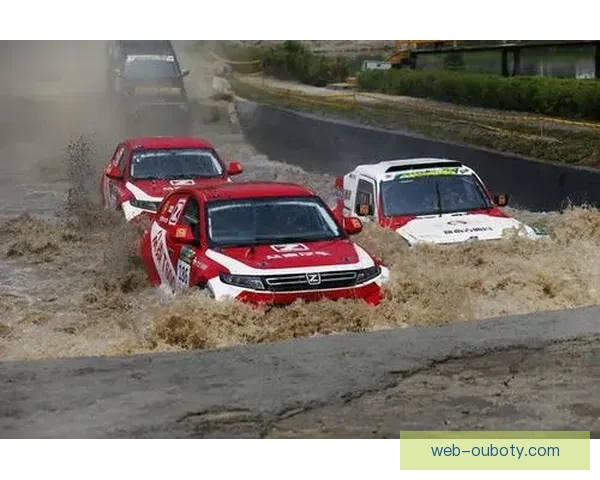 接受场地条件才能真正应对挑战